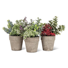Load image into Gallery viewer, Small Mixed Greenery with Lavender Pant Pot
