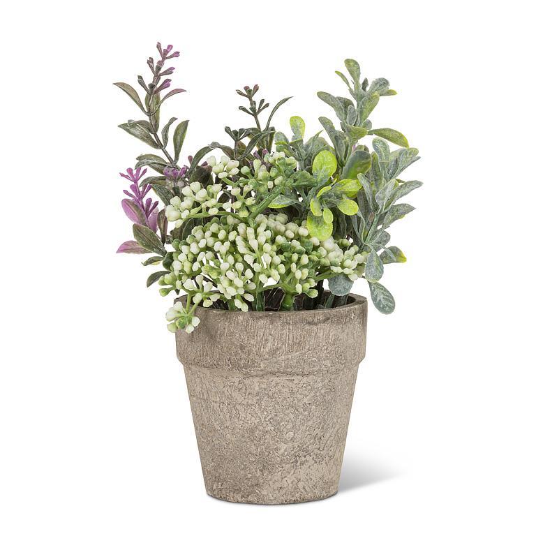 Small Mixed Greenery with Lavender Pant Pot