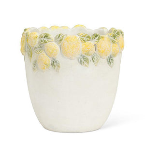 Medium Lemon Edge Planter