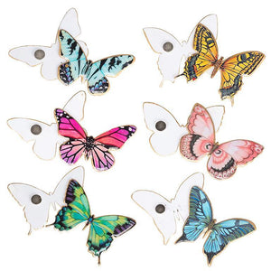 Butterfly Two-Sided Magnet - Assorted