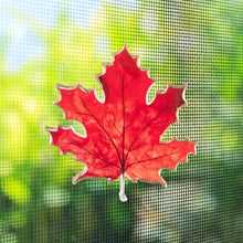 Load image into Gallery viewer, Maple Leaf Two-Sided Magnet
