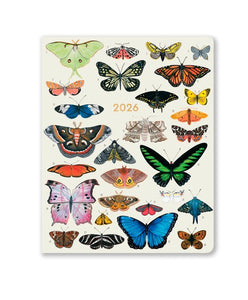 Orders Of The Animals 2026 Monthly Planner