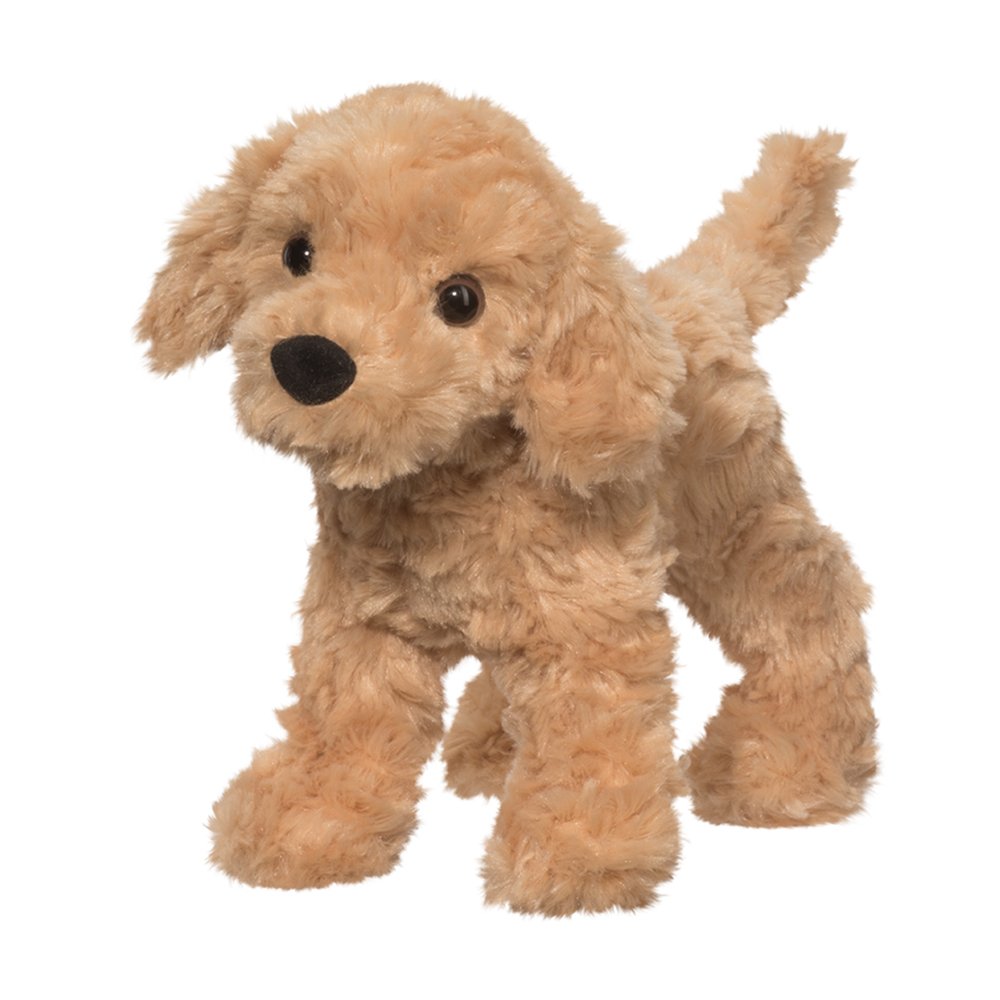 Golden retriever puppy teddy online