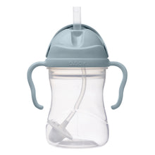 Load image into Gallery viewer, Ocean Sippy Straw Cup
