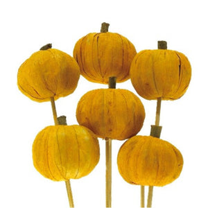 Orange Pumpkin On Stem