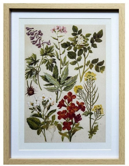 Wildflower Print
