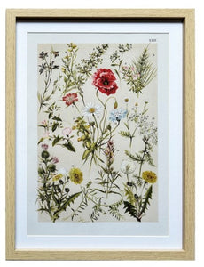 Wildflower With Poppy Print