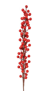 Red Berries Branch