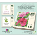 Load image into Gallery viewer, The Old Farmer’s Almanac – Gardening 2027 Daily Calendar
