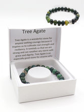 Load image into Gallery viewer, Tree Agate Bead Bracelets with Gift Box
