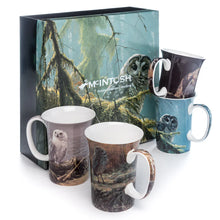 Load image into Gallery viewer, Bateman &#39;Owls&#39; Set of 4 Mugs
