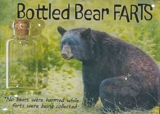 Bear Bottled Farts Magnet