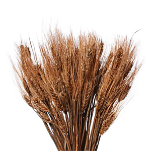 28" Light Wheat Bunch