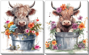 Baby Highland Cow Bath Print - Assorted