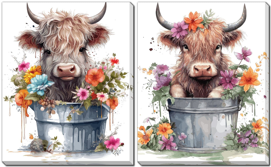 Baby Highland Cow Bath Print - Assorted