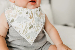 Rex Bandana Bib Set