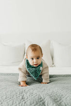 Load image into Gallery viewer, Jo Bandana Bib Set
