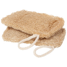 Load image into Gallery viewer, Loofah Dish Sponges - Set of 2
