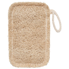 Load image into Gallery viewer, Loofah Dish Sponges - Set of 2
