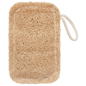 Loofah Dish Sponges - Set of 2