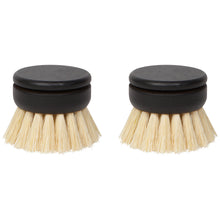 Load image into Gallery viewer, Sisal Replacement Dish Brush Heads - Set of 2
