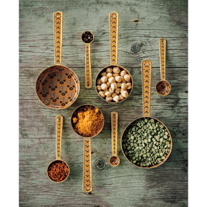 Zest Enameled Measuring Spoons - Set of 4