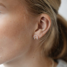 Load image into Gallery viewer, Lucky Studs - Silver/Clear
