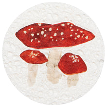 Load image into Gallery viewer, Autumn Bounty Sponges - Assorted
