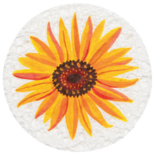Load image into Gallery viewer, Autumn Bounty Sponges - Assorted
