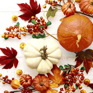 Pumpkins & Leaves Cocktail Napkins