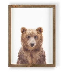 Bear Framed Art