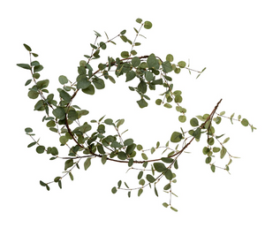 Green Eucalyptus Garland