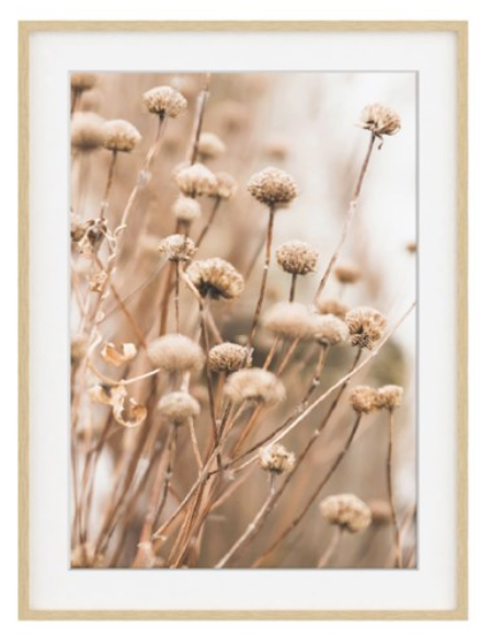 Grasses Print