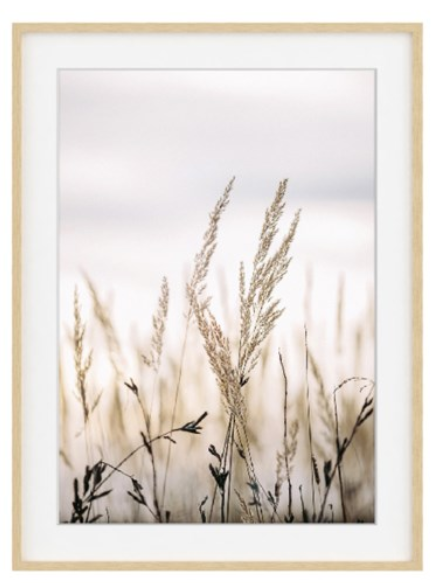 White Grasses Print