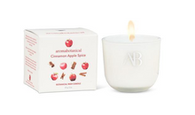Load image into Gallery viewer, Cinnamon Apple Spice Mini Candle
