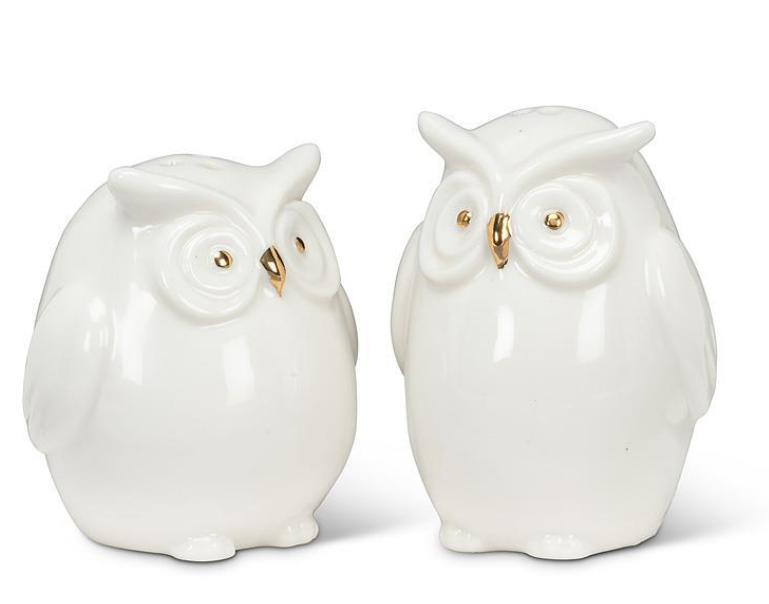 Owl Salt & Pepper Shaker
