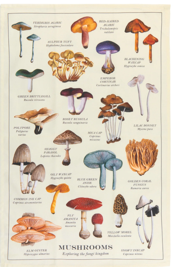 Mushrooms Fine Print Dishtowel