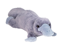 Allie Soft Platypus