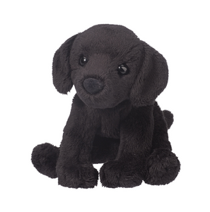 Lucy Black Lab
