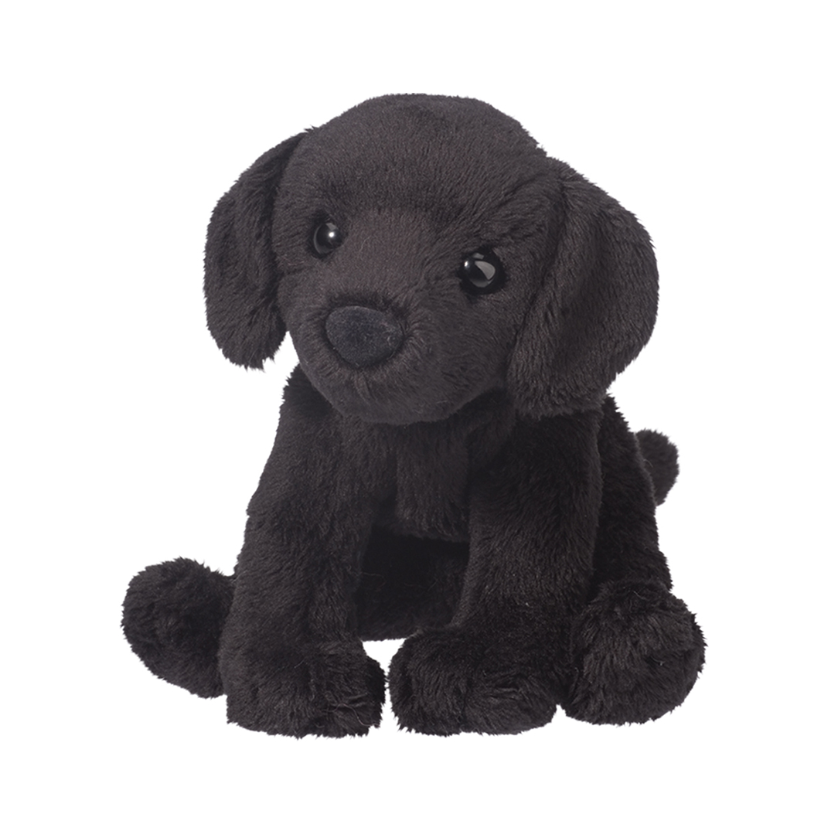 Lucy Black Lab