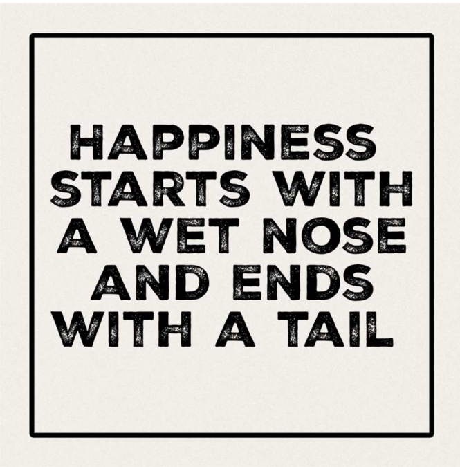 Ends with a Tail Coaster - 4