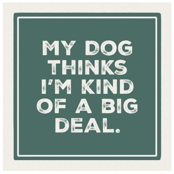 Big Deal Coaster - 4