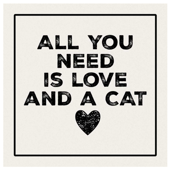 Love and a Cat Coaster - 4