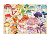 Load image into Gallery viewer, Mushroom Mania 1000 Piece Puzzle
