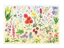 Load image into Gallery viewer, Wildflowers 150 Piece Tube
