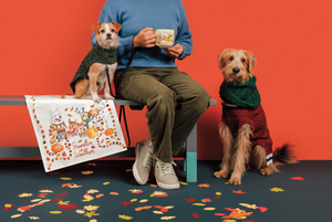 Sweater Weather Mug and Dishtowel Set
