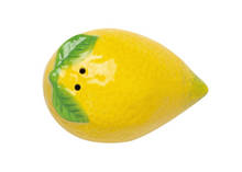 Load image into Gallery viewer, Citrus Burst Salt and Pepper Shakers
