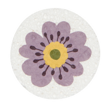 Load image into Gallery viewer, Market Day Sponge - Assorted
