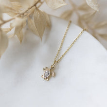 Load image into Gallery viewer, Turtle Treasure Necklace - Gold/Clear
