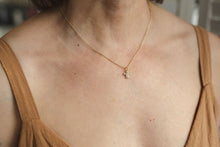 Load image into Gallery viewer, Turtle Treasure Necklace - Gold/Clear
